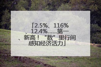 2.5%、116%、12.4%……第一、新高！“数”里行间感知经济活力