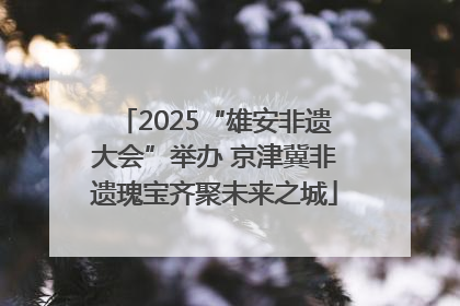 2025“雄安非遗大会”举办 京津冀非遗瑰宝齐聚未来之城