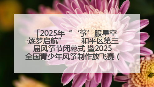 2025年“‘筝’服星空·逐梦启航”——和平区第三届风筝节闭幕式 暨2025全国青少年风筝制作放飞赛（沈阳站）颁奖仪式