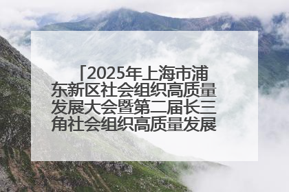 2025年上海市浦东新区社会组织高质量发展大会暨第二届长三角社会组织高质量发展峰会成功举办