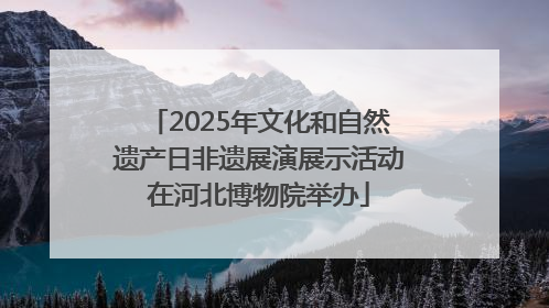 2025年文化和自然遗产日非遗展演展示活动在河北博物院举办