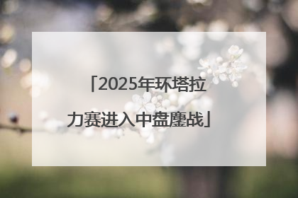 2025年环塔拉力赛进入中盘鏖战