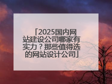 2025国内网站建设公司哪家有实力？那些值得选的网站设计公司