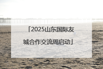 2025山东国际友城合作交流周启动