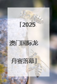2025澳门国际龙舟赛落幕