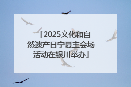 2025文化和自然遗产日宁夏主会场活动在银川举办