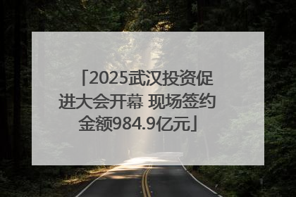 2025武汉投资促进大会开幕 现场签约金额984.9亿元