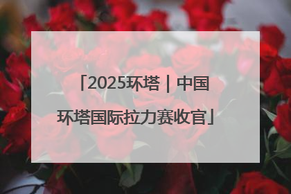2025环塔｜中国环塔国际拉力赛收官
