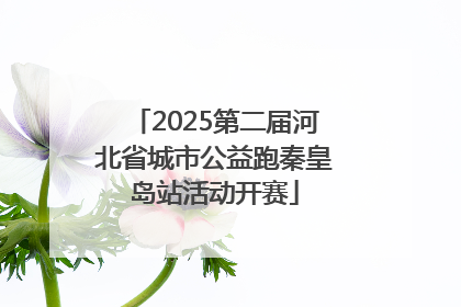 2025第二届河北省城市公益跑秦皇岛站活动开赛