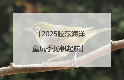 2025胶东海洋童玩季扬帆起航