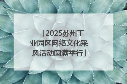 2025苏州工业园区网络文化采风活动圆满举行
