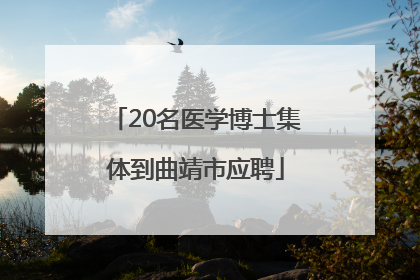 20名医学博士集体到曲靖市应聘