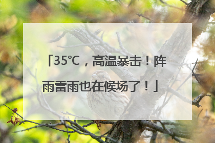 35℃，高温暴击！阵雨雷雨也在候场了！