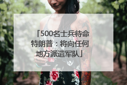 500名士兵待命 特朗普：将向任何地方派遣军队
