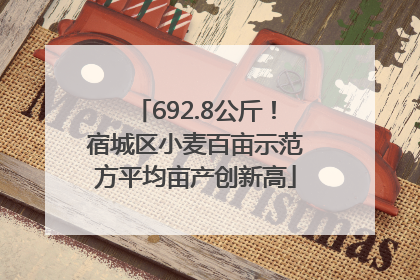 692.8公斤！宿城区小麦百亩示范方平均亩产创新高