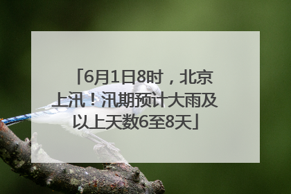 6月1日8时，北京上汛！汛期预计大雨及以上天数6至8天