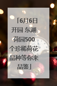 6月6日开园 东湖荷园500个珍稀荷花品种等你来品鉴