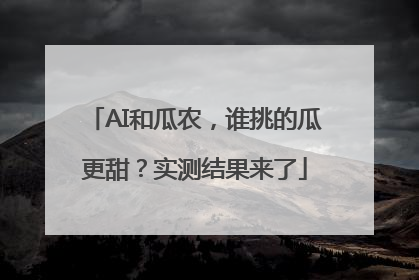 AI和瓜农，谁挑的瓜更甜？实测结果来了