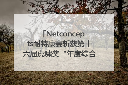 Netconcepts耐特康赛斩获第十六届虎啸奖“年度综合服务商”大奖